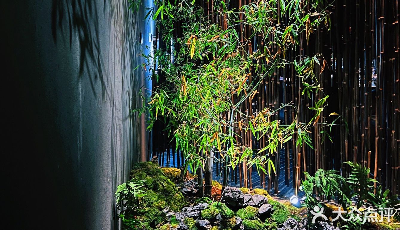 竹间茶宴 大隐于世 以茶会友