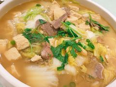 -林口邵胖子大鹅(新安街东五店)