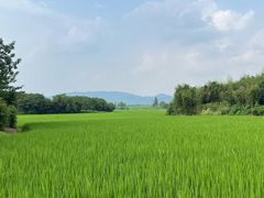 -良渚古城遗址公园
