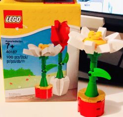 -乐高授权专卖店(济南万象城店)