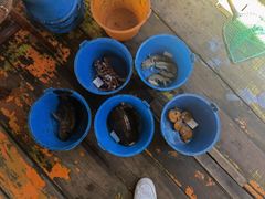 -蓝湾碧波·老字号·疍家非遗海上餐厅
