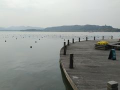 -西湖外事游船(花港观鱼码头)