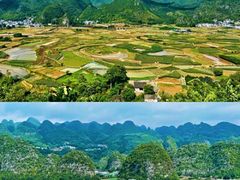 -莫里热带雨林景区