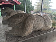-茂陵博物馆