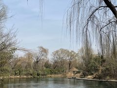 -百脉泉景区