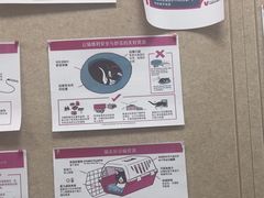 -美联众合爱康动物医院•复杂内科•肿瘤科•牙科•腔镜诊疗中心