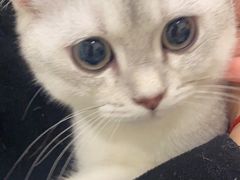 -美迦爱-牙专科·兔科·骨科诊疗中心(北苑店)