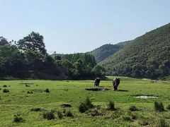 -藏龙百瀑风景区