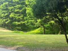 -扬州市茱萸湾风景区