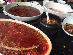 -陈麻婆豆腐总店