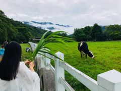 -瑞穗牧场
