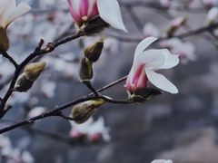 -东华门大街小区