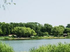 -北坞公园