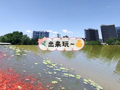 -西海子公园