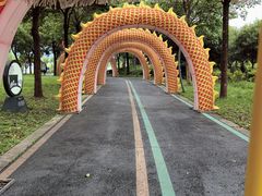 -琅岐红光湖公园