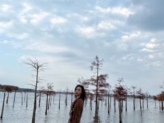 -南京枫彩漫城