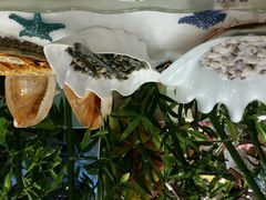 android_upload_pic-银鲨海鲜烤肉火锅自助餐厅(五星店)