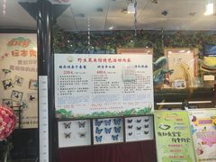 -上海大自然野生昆虫馆(东方明珠·爬宠昆虫探索中心)