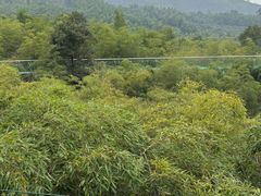 -陶祖圣境风景区