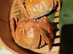 -成隆行·蟹王府(九江路店)