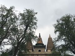 -北京石刻艺术博物馆(五塔寺)