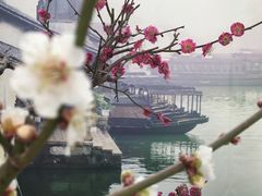 -燕郊植物园