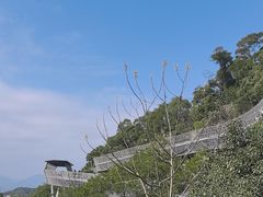 -福道