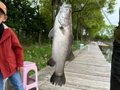 -新怡路亚垂钓园