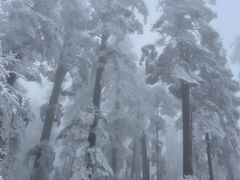 -瓦屋山景区