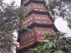 -房湖公园
