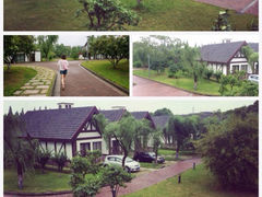 iphone_upload_pic-太阳岛旅游度假区