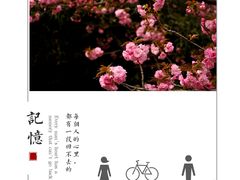 -西安青龙寺遗址景区