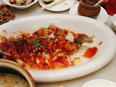 松鼠桂鱼-金鼎轩(方庄天坛店)