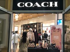 -COACH蔻驰(赛特奥特莱斯店)