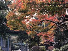 -浙江西子宾馆·瑶园咖啡厅