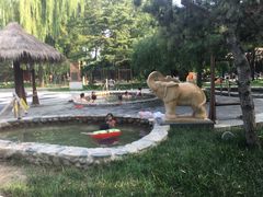 -南宫温泉水世界