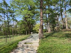 -沈阳植物园