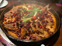 -老板恋上鱼(高新万达店)