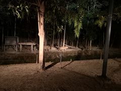 -清迈夜间动物园