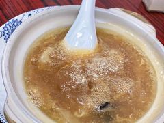 海参花胶砂锅鱼翅-添發碗仔翅美食