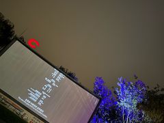 -枫花园汽车电影院(朝阳公园店)