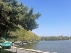 -北陵公园