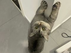 -毛泽东同志旧居