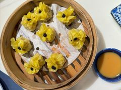 -点都德·毕德寮