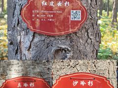 -黑龙江省森林植物园