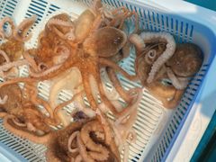 -威海渔村(黄兴路店)