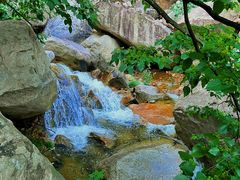 -广州市白云山风景名胜区