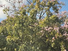 -老火车站牛肉粉