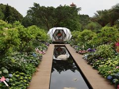 -深圳仙湖植物园