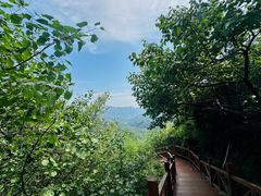 -大岭沟猕猴桃谷风景区